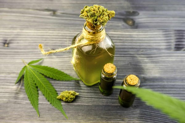 Les variétés de fleurs de cbd aux meilleurs profils aromatiques